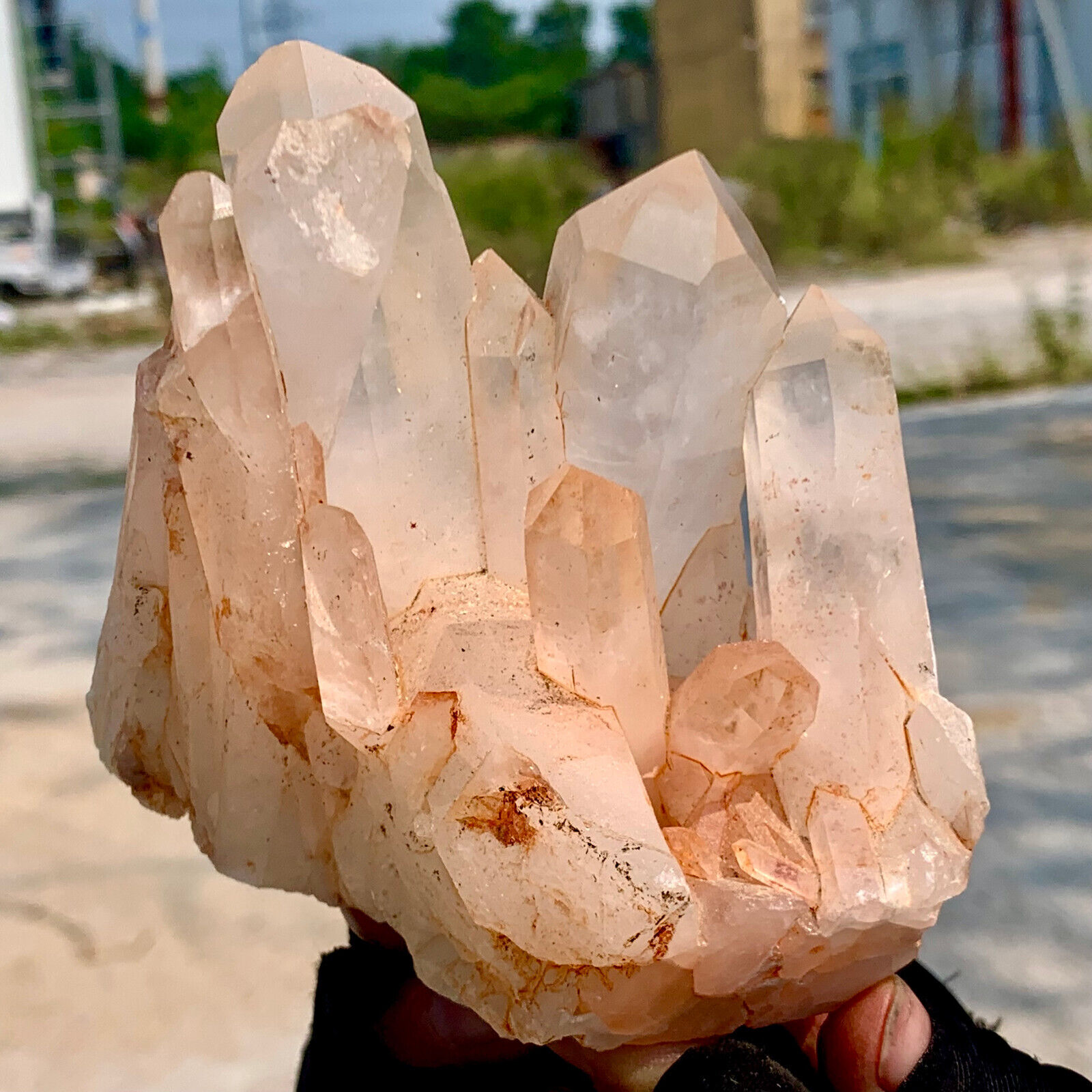 1.11LB  Natural Beautiful white Quartz Crystal Cluster Mineral Specimen