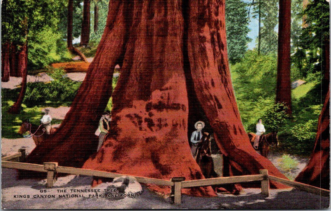 VTG Kings Canyon Nat\'l Park, CA, Tennessee Tree, Linen, Unposted, People, Horses