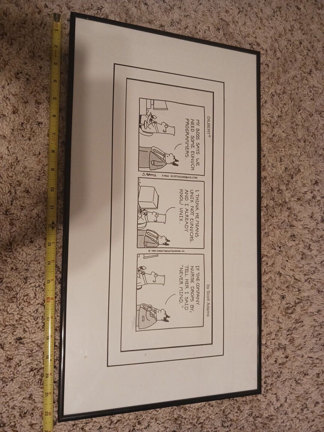 Scott Adams Dilbert Comic Strip Print  Framed Lithograph 22