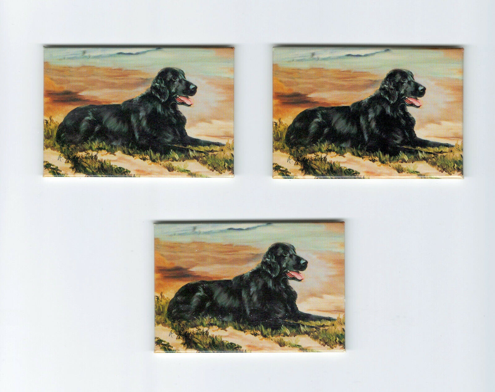 New Flat-Coated Retriever Magnet Set 3 Magnets By Ruth Maystead MFR # RFC-1