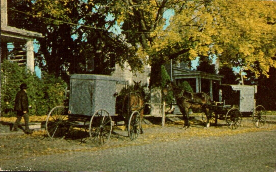 VTG PHOTO POSTCARD - AMISH BUGGIES - IN A SMALL VILLAGE