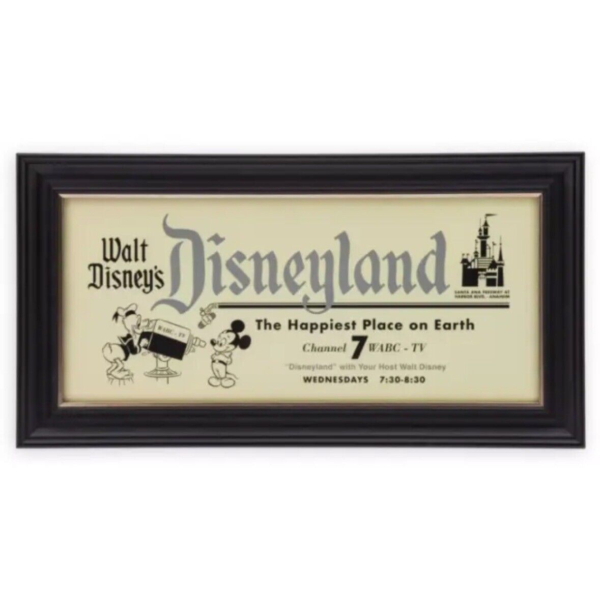 Walt Disney's Disneyland Park Retro Eras 1950s Disney 100 Framed Wall Art New