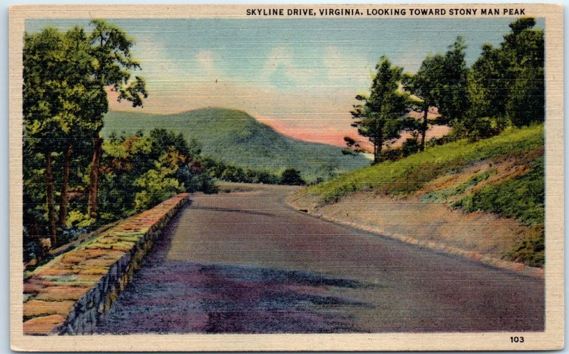 Postcard - Skyline Drive, Virginia - Looking Toward Stony Man Peak