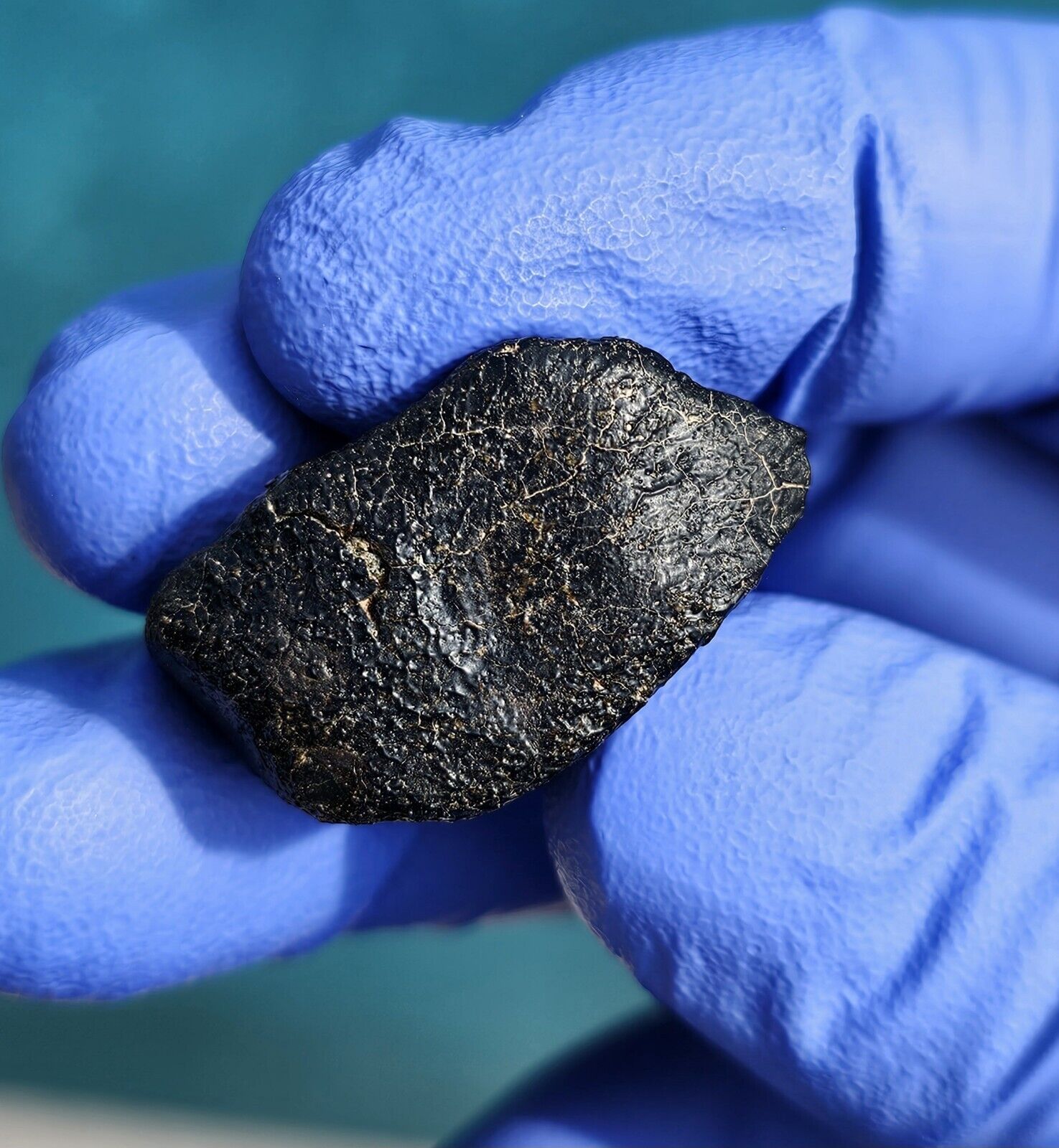 Meteorite**Hassi Messauod 001, Nakhlite Martian**11.507 grams, W/Fusion Crust