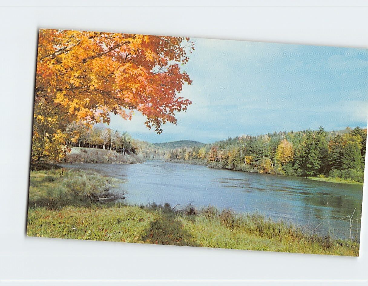 Postcard 13 Mile Woods and Androscoggin River, Northern New Hampshire