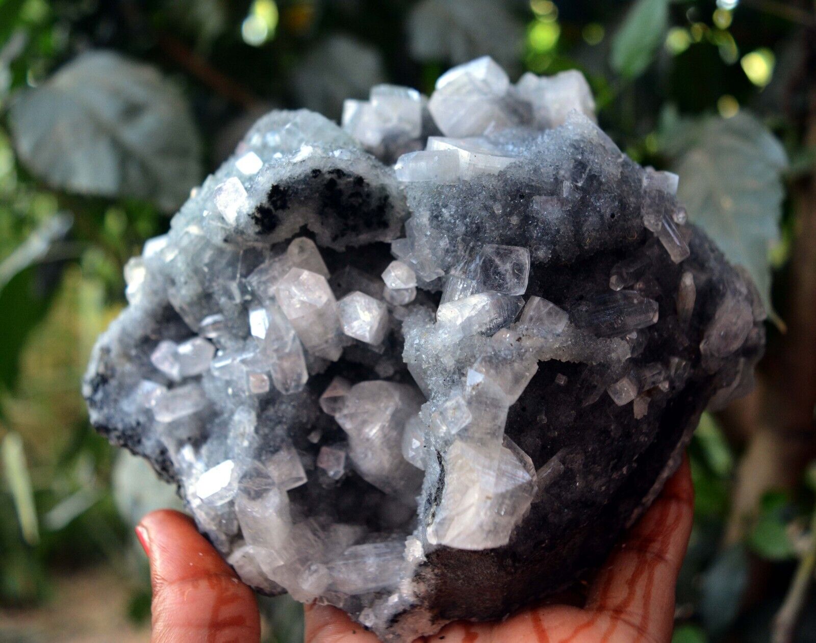 APOPHYLLITE Crystals On CHALCEDONY Matrix Minerals M-5.24