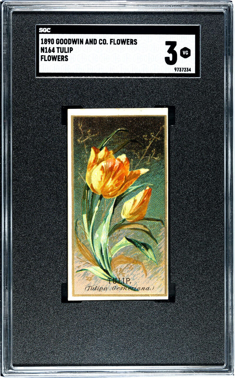 1890 Goodwin & Co. Tulip Flowers SGC 3