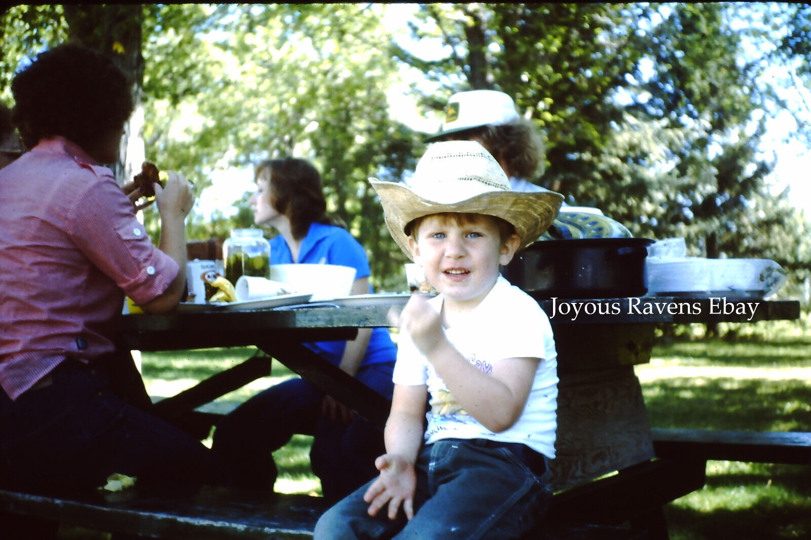 35MM Found Photo Slide 1979 Family Picnic Boy in Cowboy Hat A&W John Deere Hat