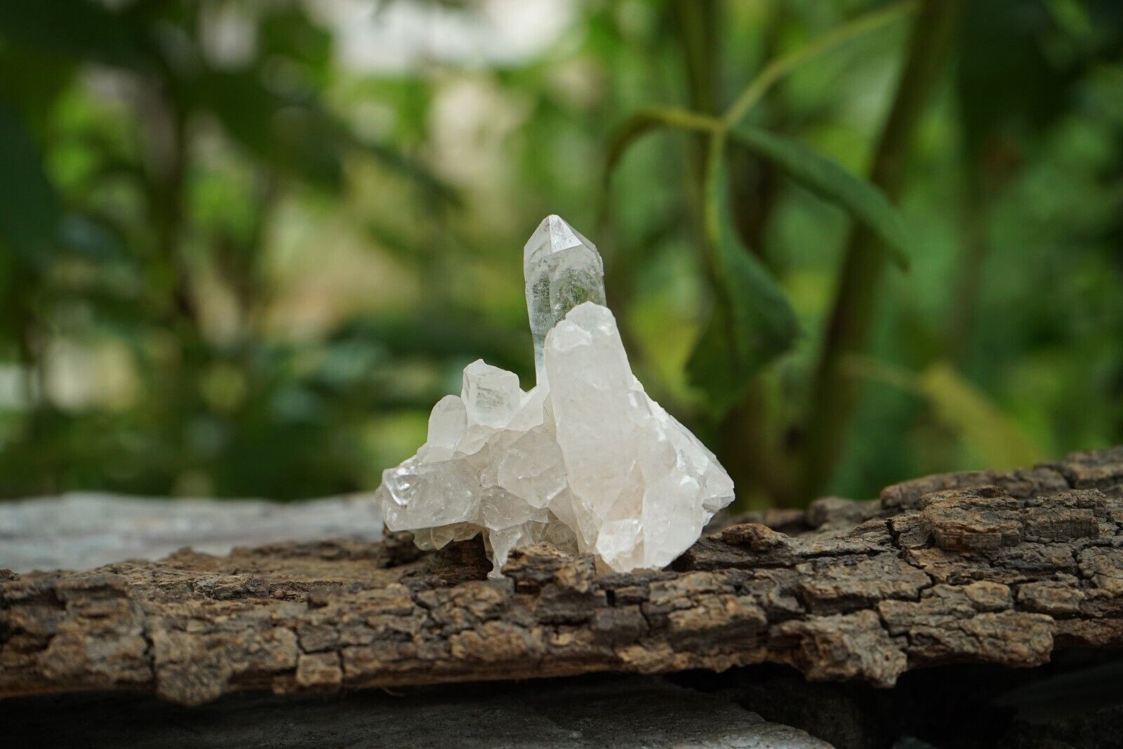 White Samadhi Quartz Crystal, Healing Cluster Mineral 68gm Manikaran Quartz