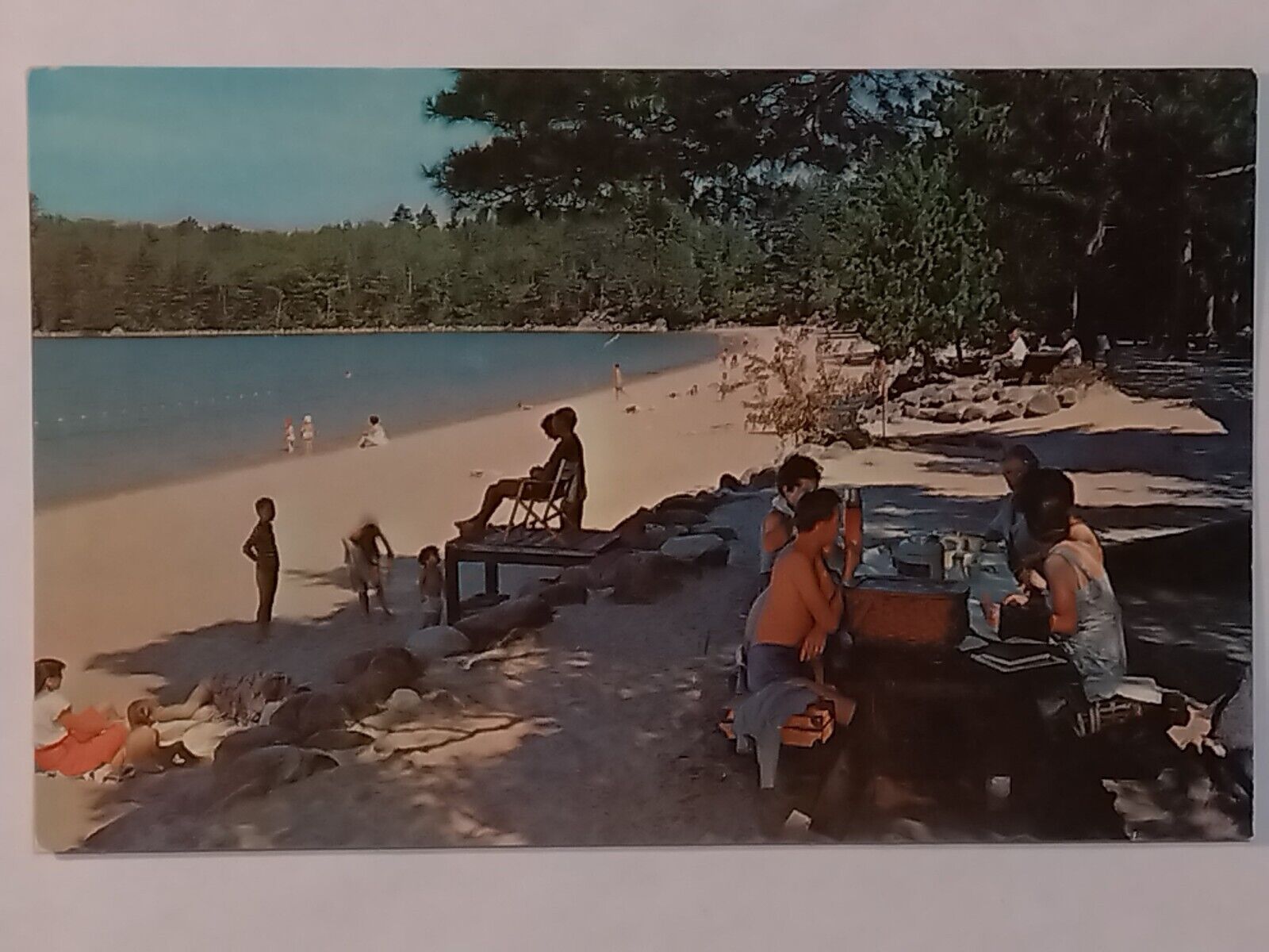 Greetings From Metedeconk Picnic Area  Postcard 