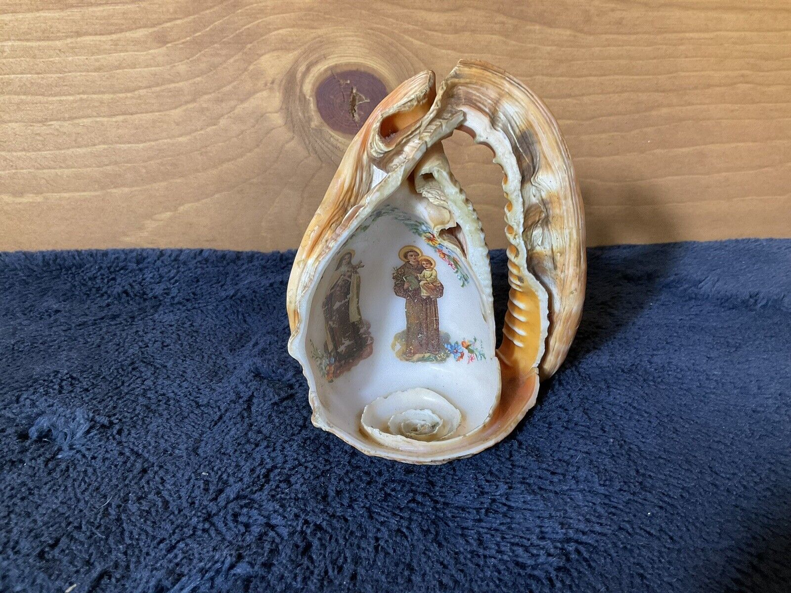 VTG 1950\'s Religious Carved Conch Seashell Religious Transfer 5\