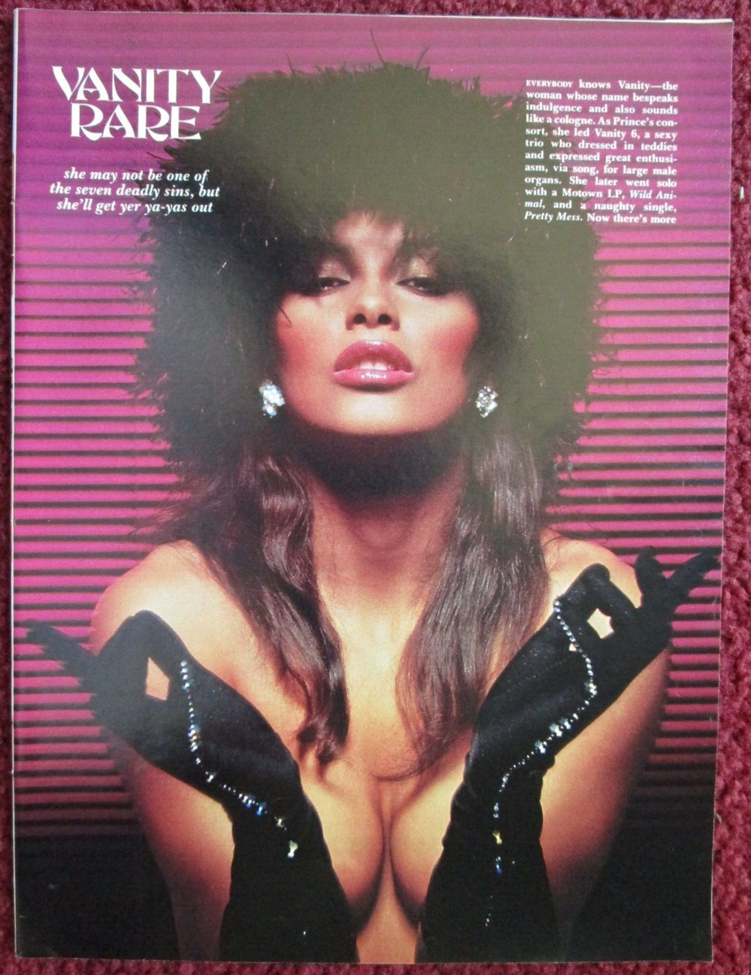 Magazine Photo Article, 5-Page Pinup Clipping ~ VANITY Denise Matthews Sexy