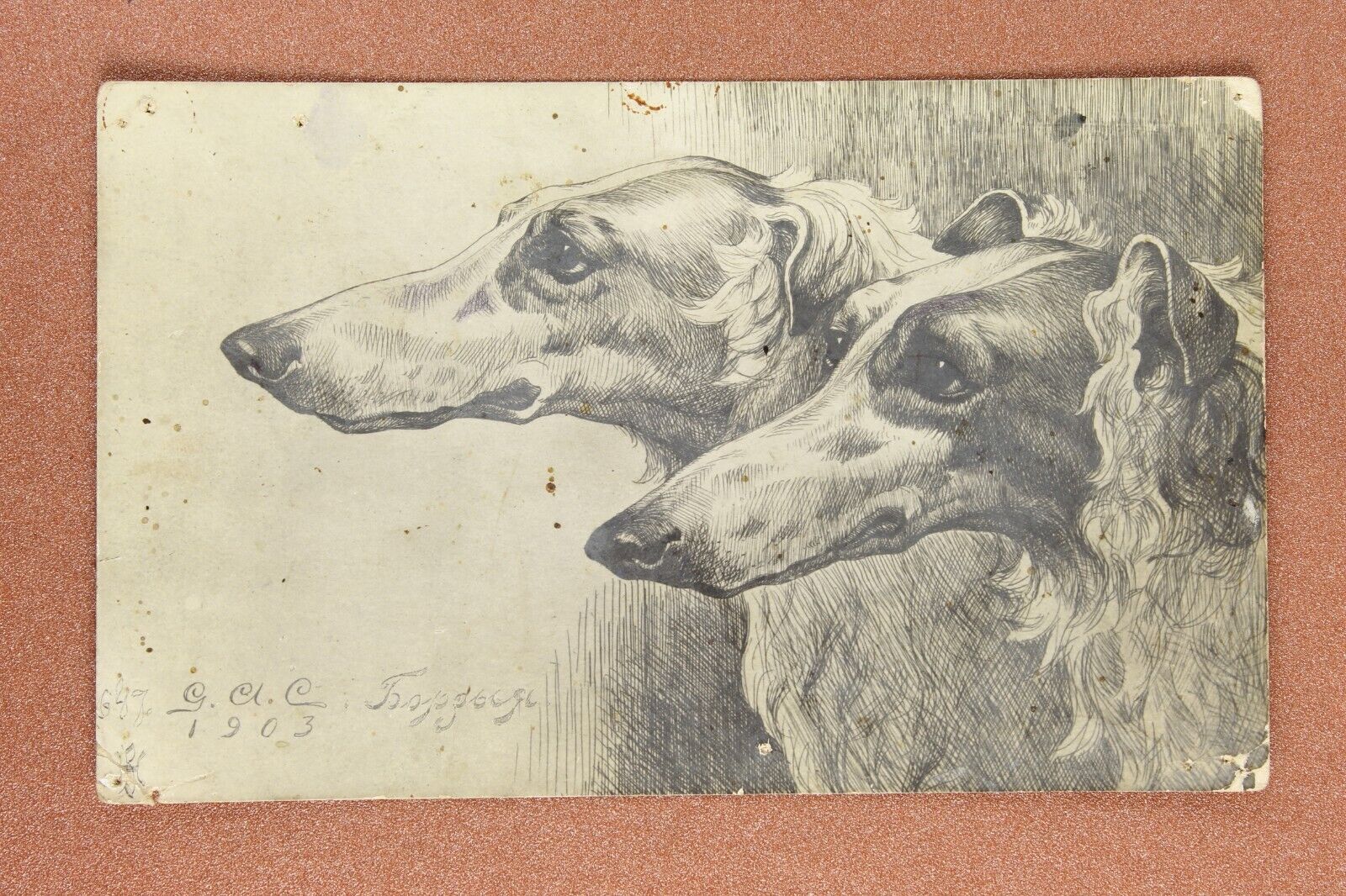 Dogs. Russian hunting dog BORZOI. RARE Tsarist Russia postcard 1903