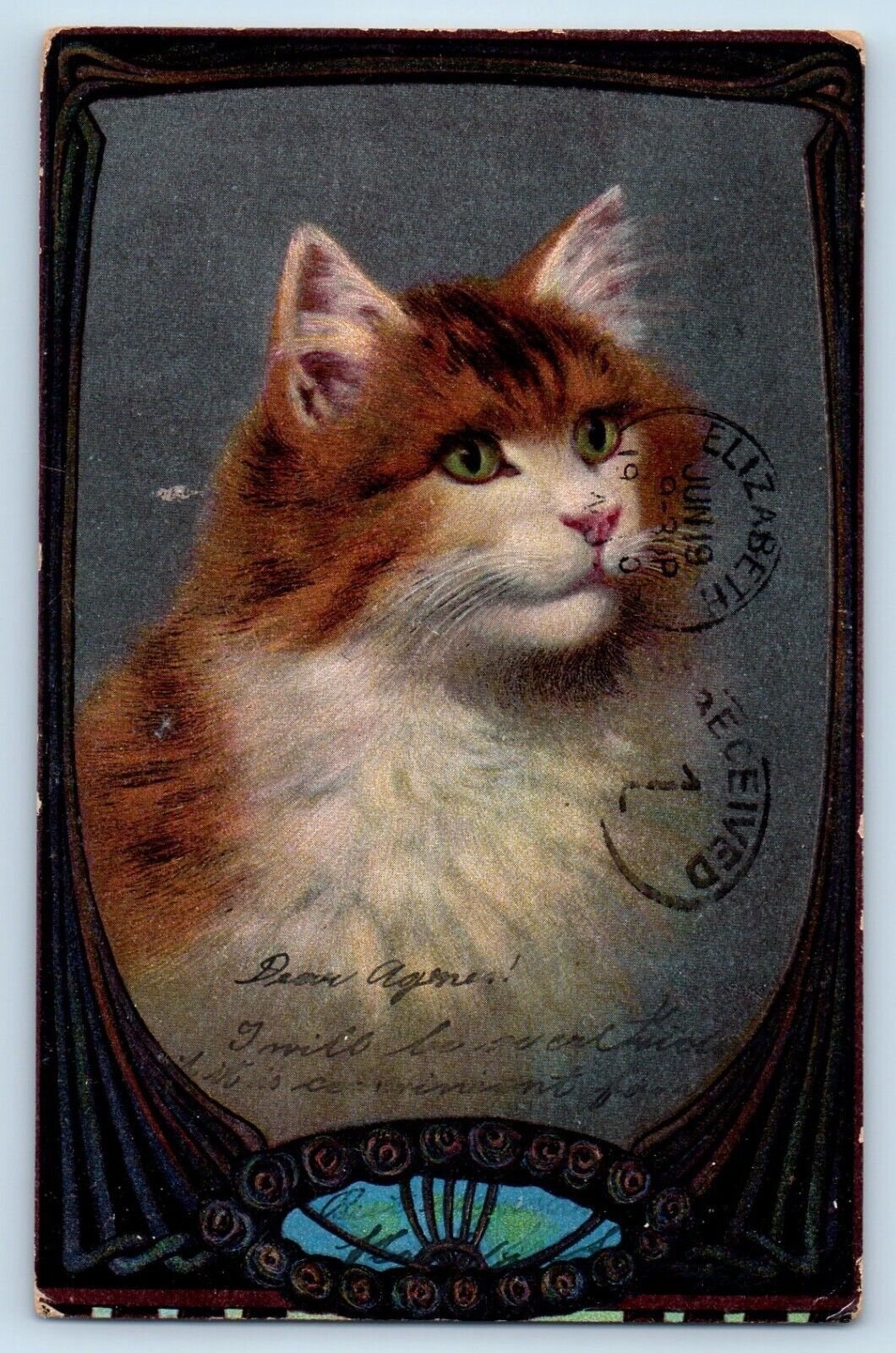 Newark Elizabeth New Jersey NJ Postcard Haired Cat Kitten 1907 Posted Antique