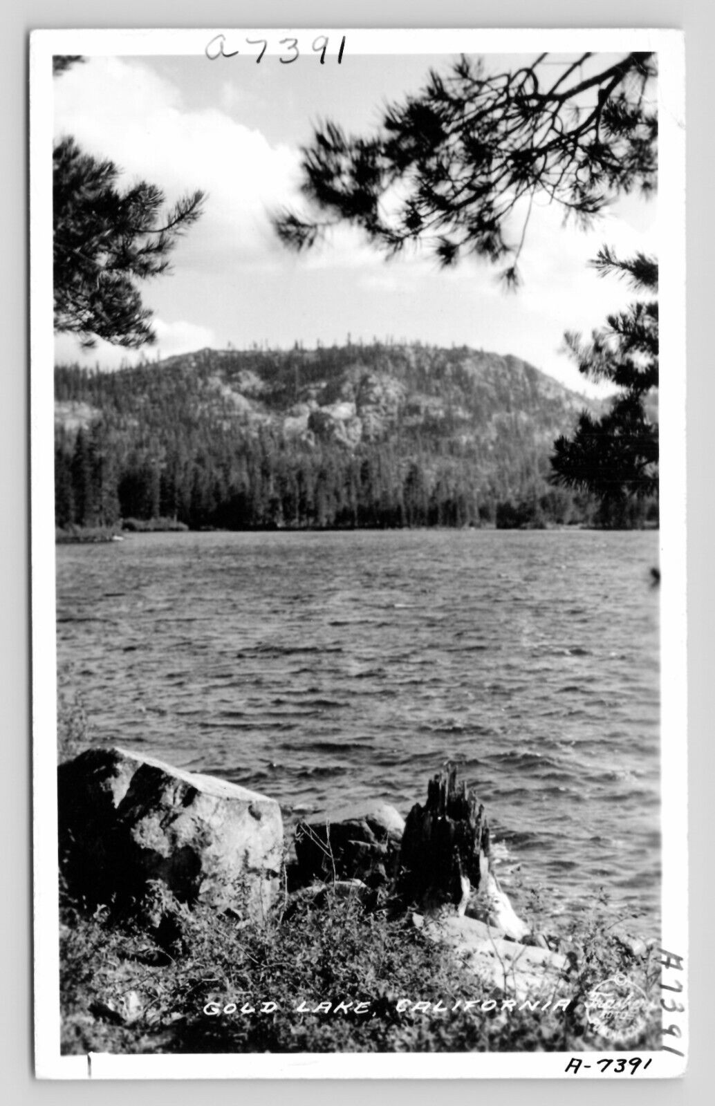 RPPC Gold Lake California View Frashers Pomona CA VTG Unposted Photo Postcard