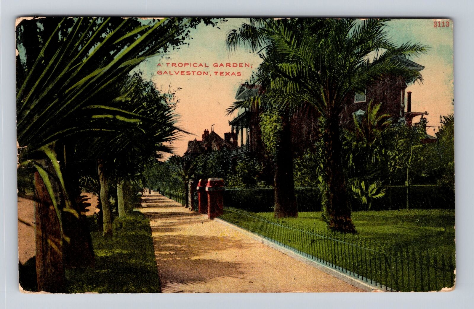 Galveston TX- Texas, Tropical Garden, Antique, Vintage c1913 Souvenir Postcard