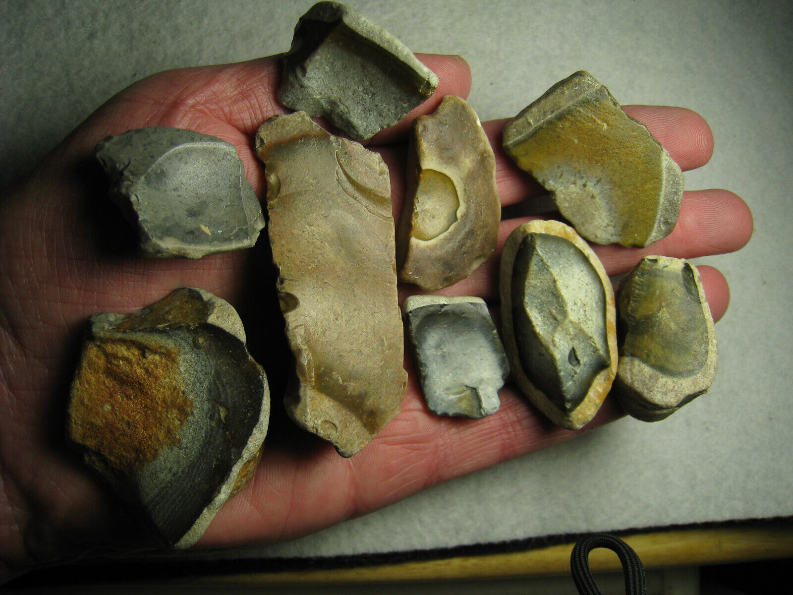 Exotic Polychrome Flints Chalcedony Quartz Stones Lot Of 9 Kansas 175 Grams Ttl