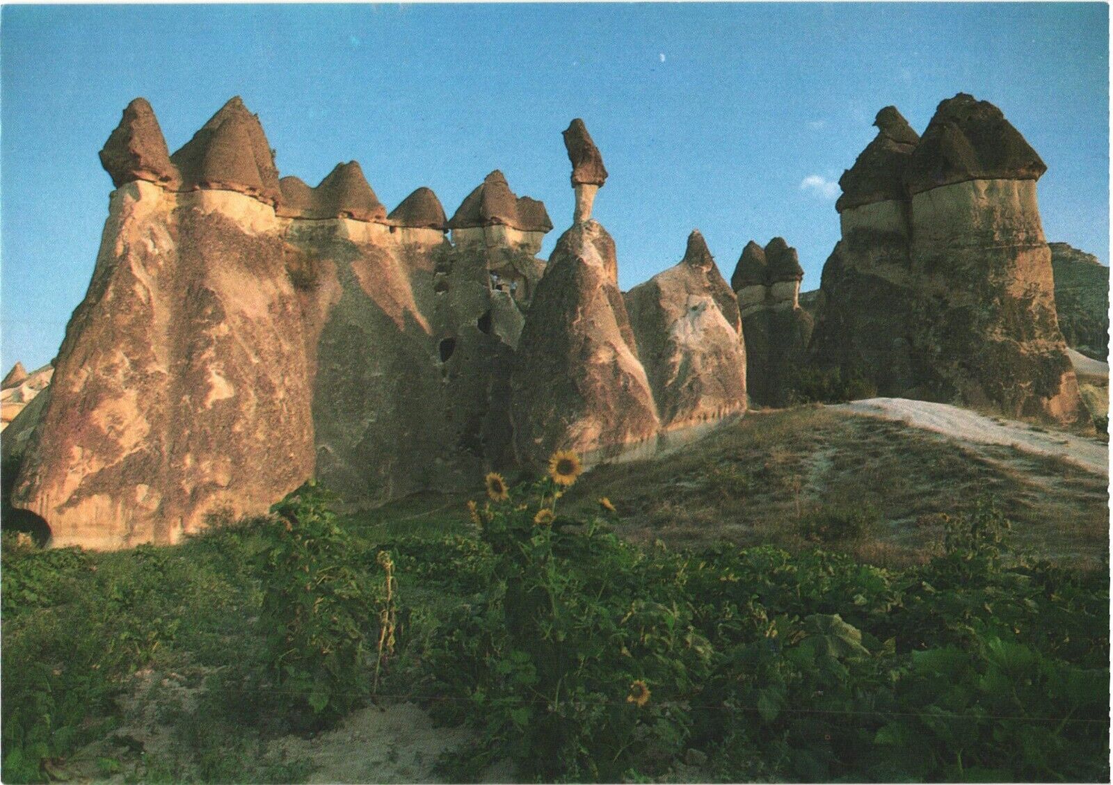 Pasabag Valley, Mushroom-shaped Fairy Chimneys, Cappadocia, Turkey Postcard