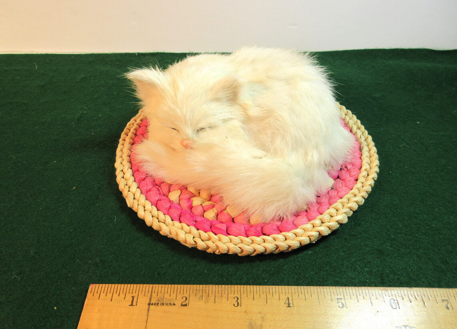 Realistic looking sleeping cat on a coiled mat EUC