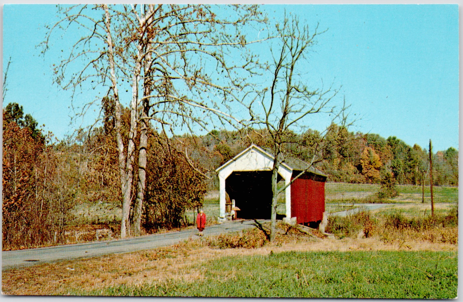 Parke County Indiana Phillips Covered Bridge Big Pond Creek USA Vintage Postcard