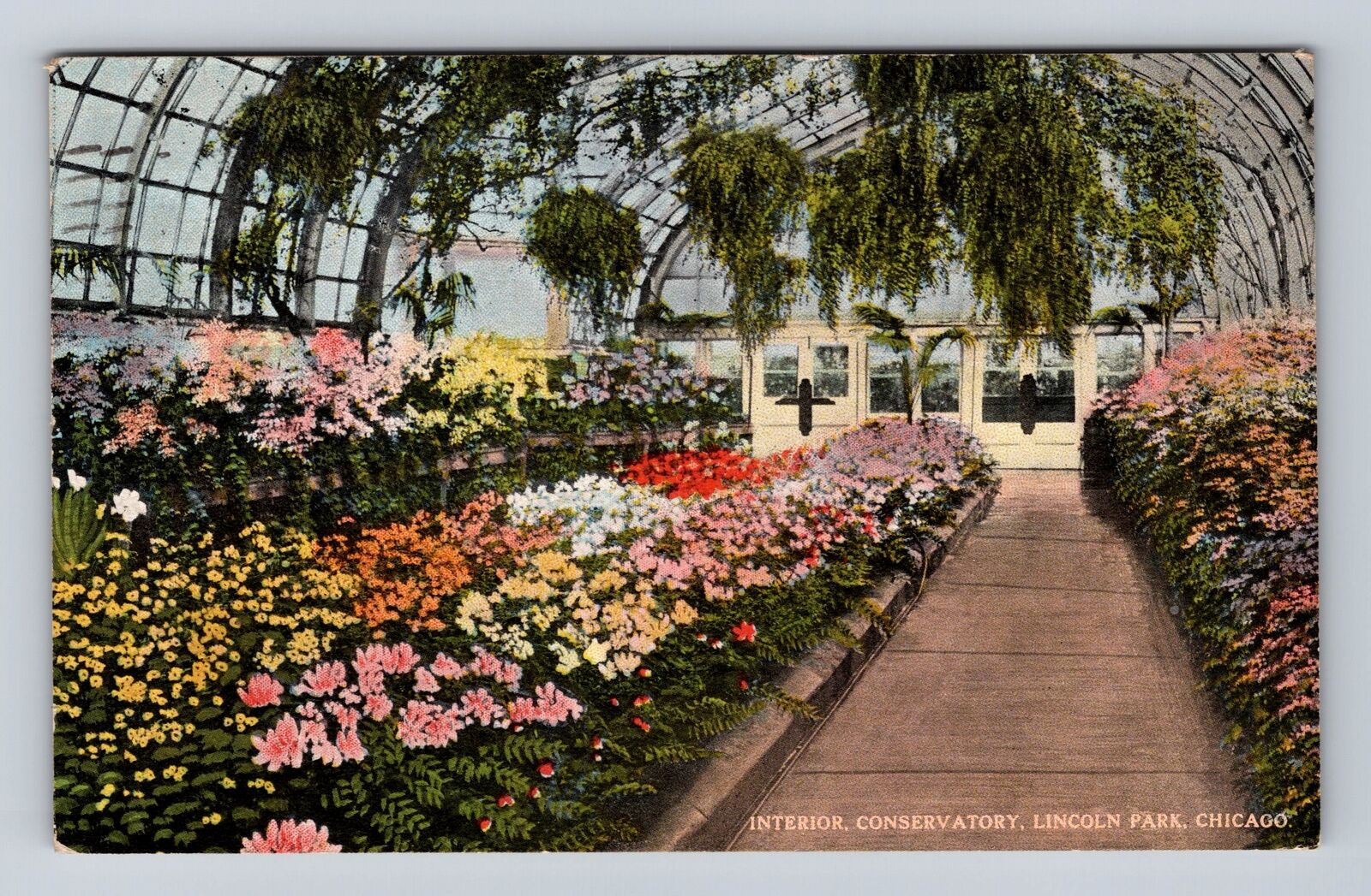 Chicago IL-Illinois, Interior, Conservatory Lincoln Park Vintage c1915 Postcard