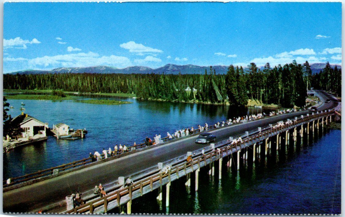 Postcard - Fishing Bridge, Yellowstone National Park, Wyoming USA