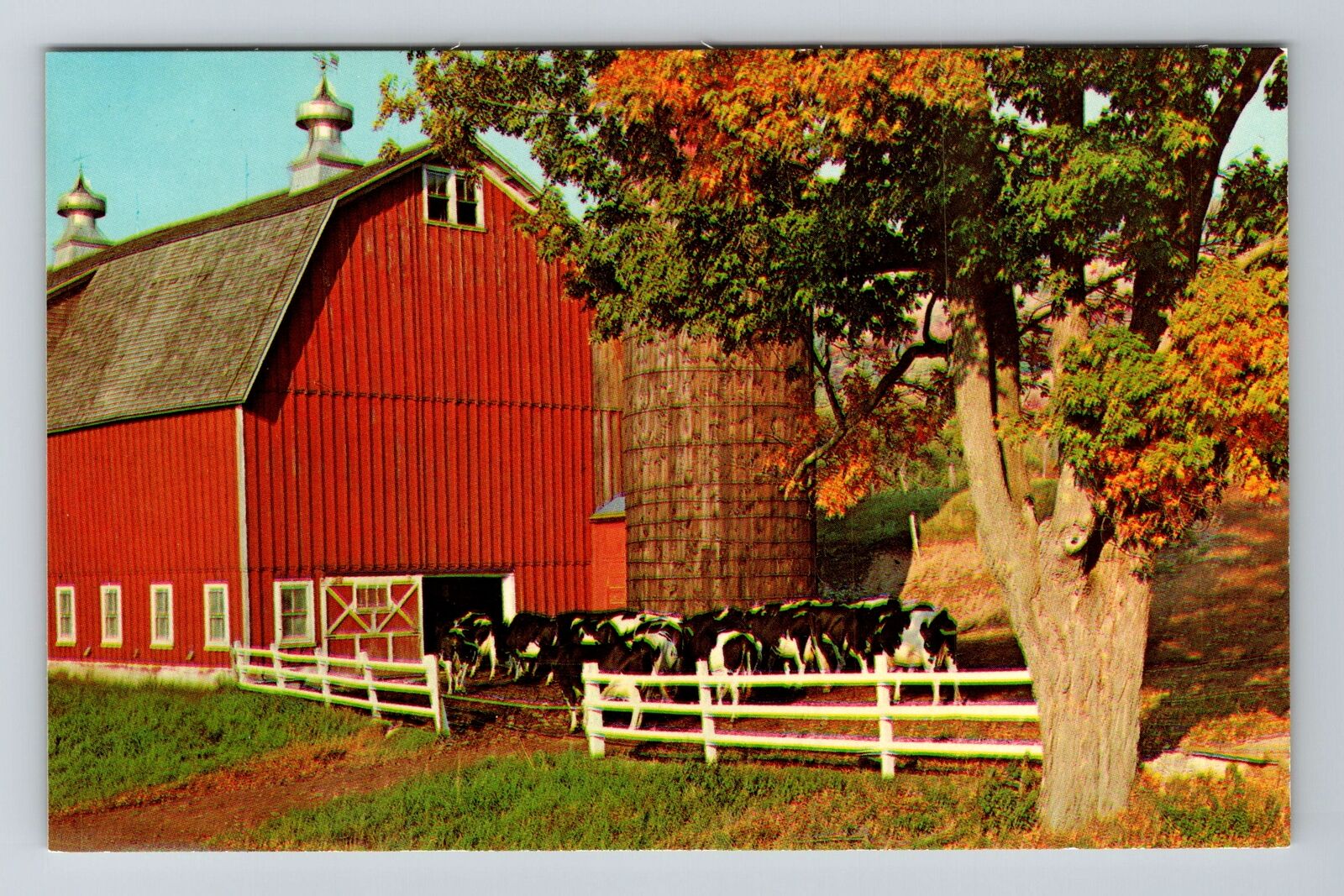 Middleburgh NY-New York, General Greetings, Milking Time Vintage Postcard