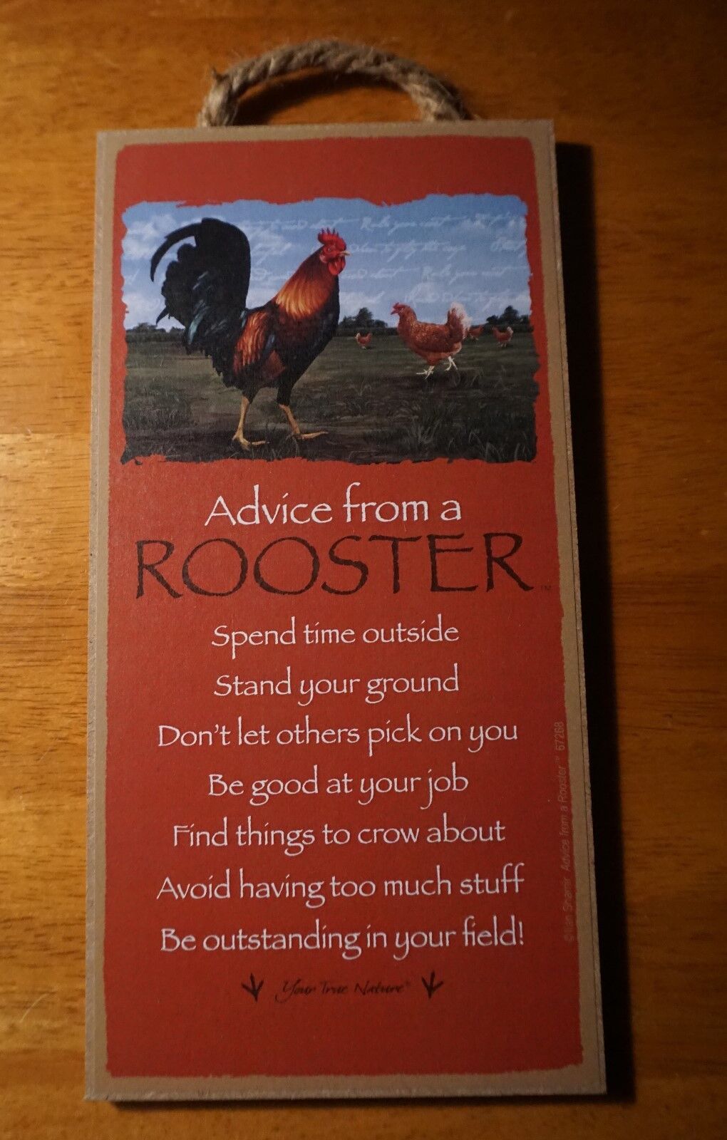 ADVICE FROM A ROOSTER SIGN Country Primitive Chicken Farm Kitchen Home Decor NEW