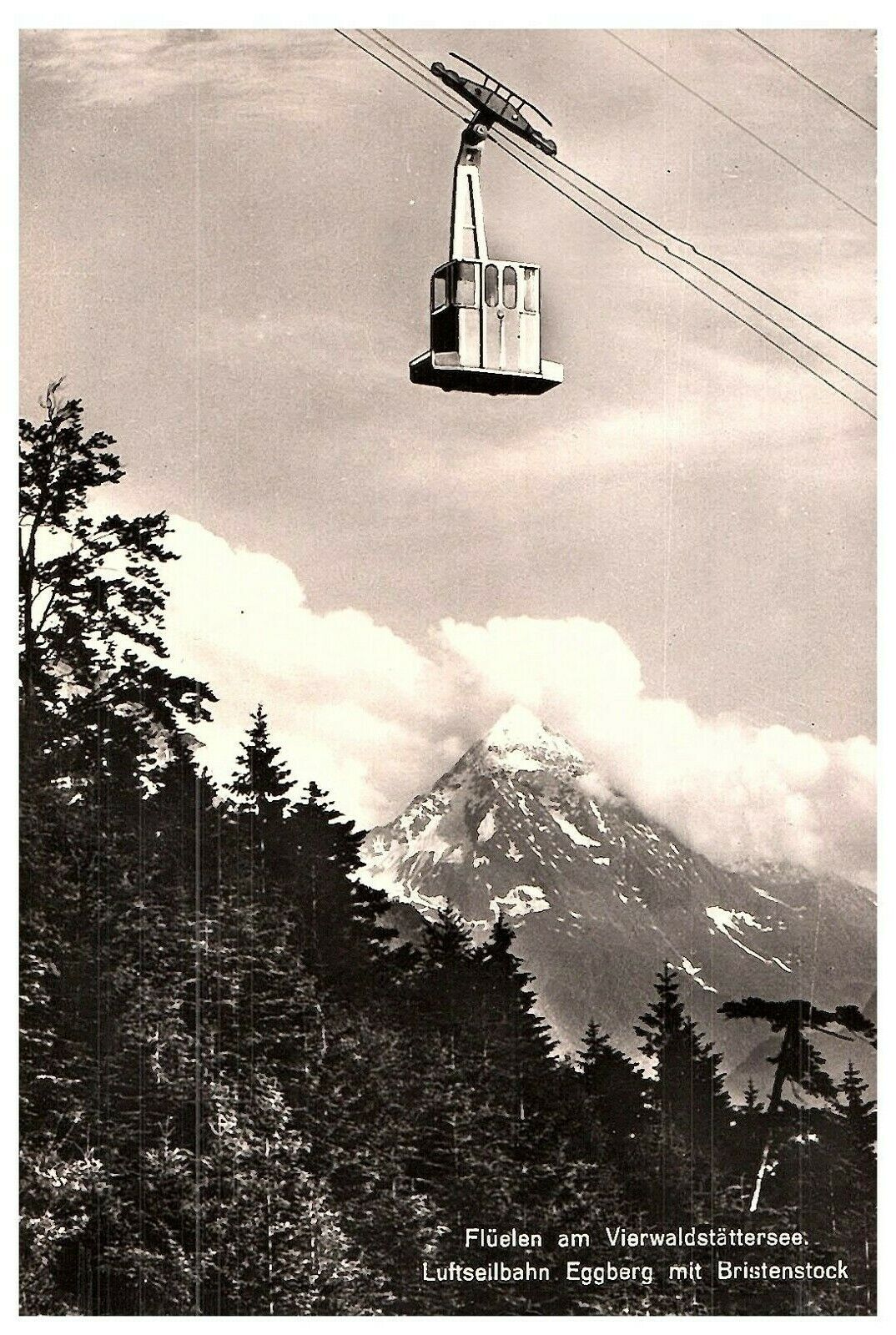 Antique B&W Switzerland Photos Wehrli A G Zurich Gondola Snowy Mountains 10867
