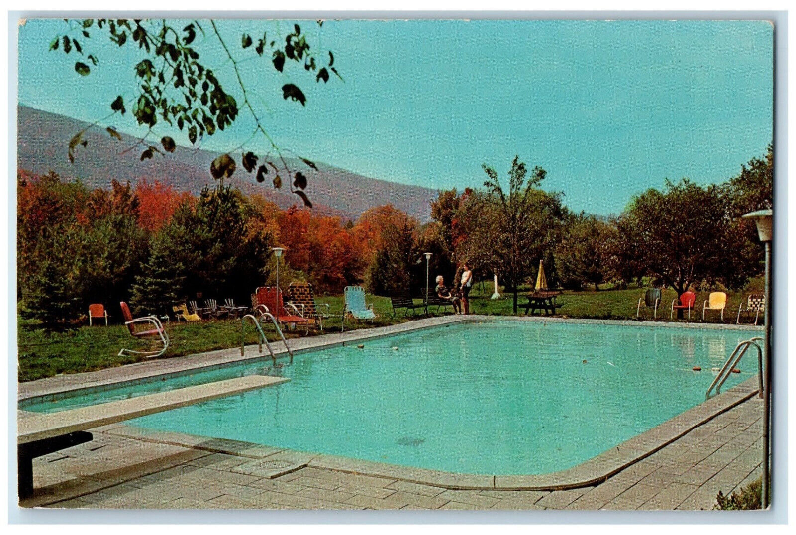 c1950s Swimming & Skating Sun-Land Farm Motel Hunter New York NY Postcard