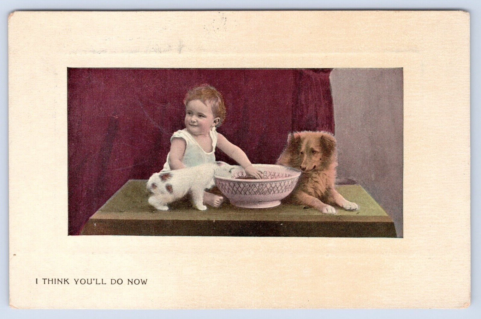 c1910s \'I Think You\'ll Do Now\' Toddler With Wash Basin, Puppy, And Dog Postcard