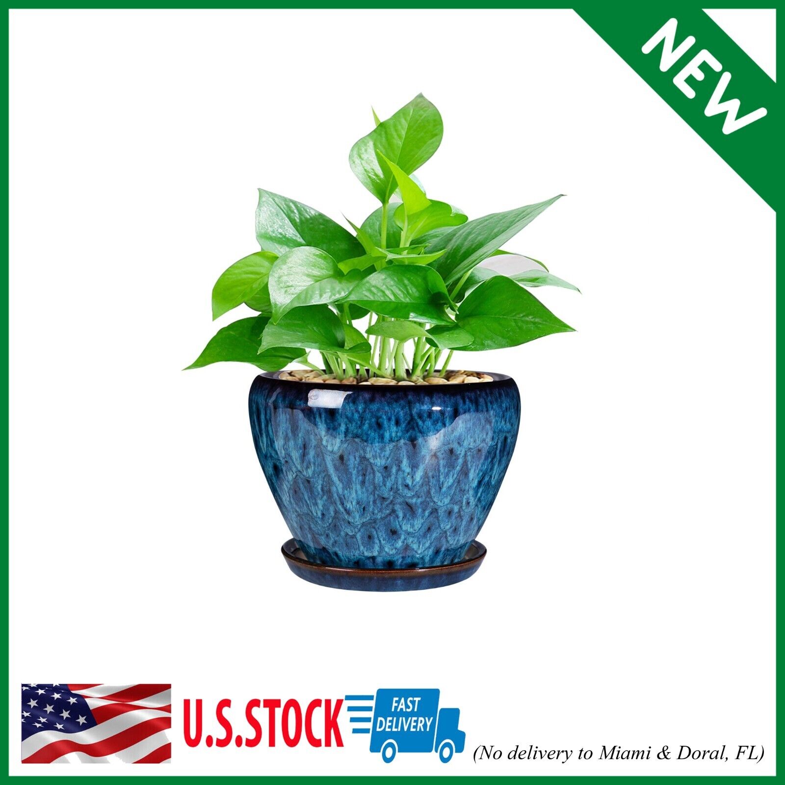 Ceramic Modern Glaze Succulent Planter Pot with Drainage Hole and Saucer 6 Inch