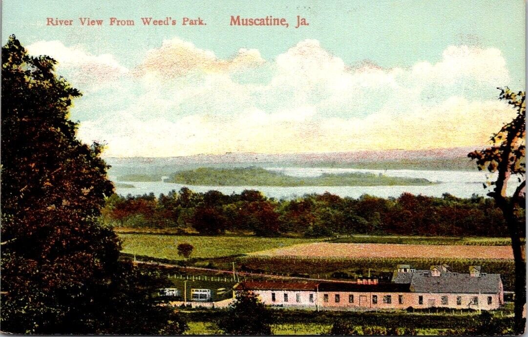 Postcard Divided back River View from Weed\'s Park Muscatine Iowa