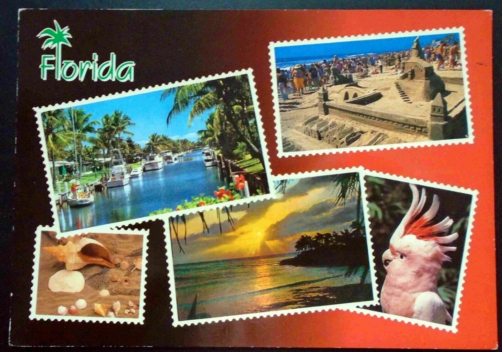1980s “Florida” Multiple Views, Sandcastle, Shells, Beaches, Birds 
