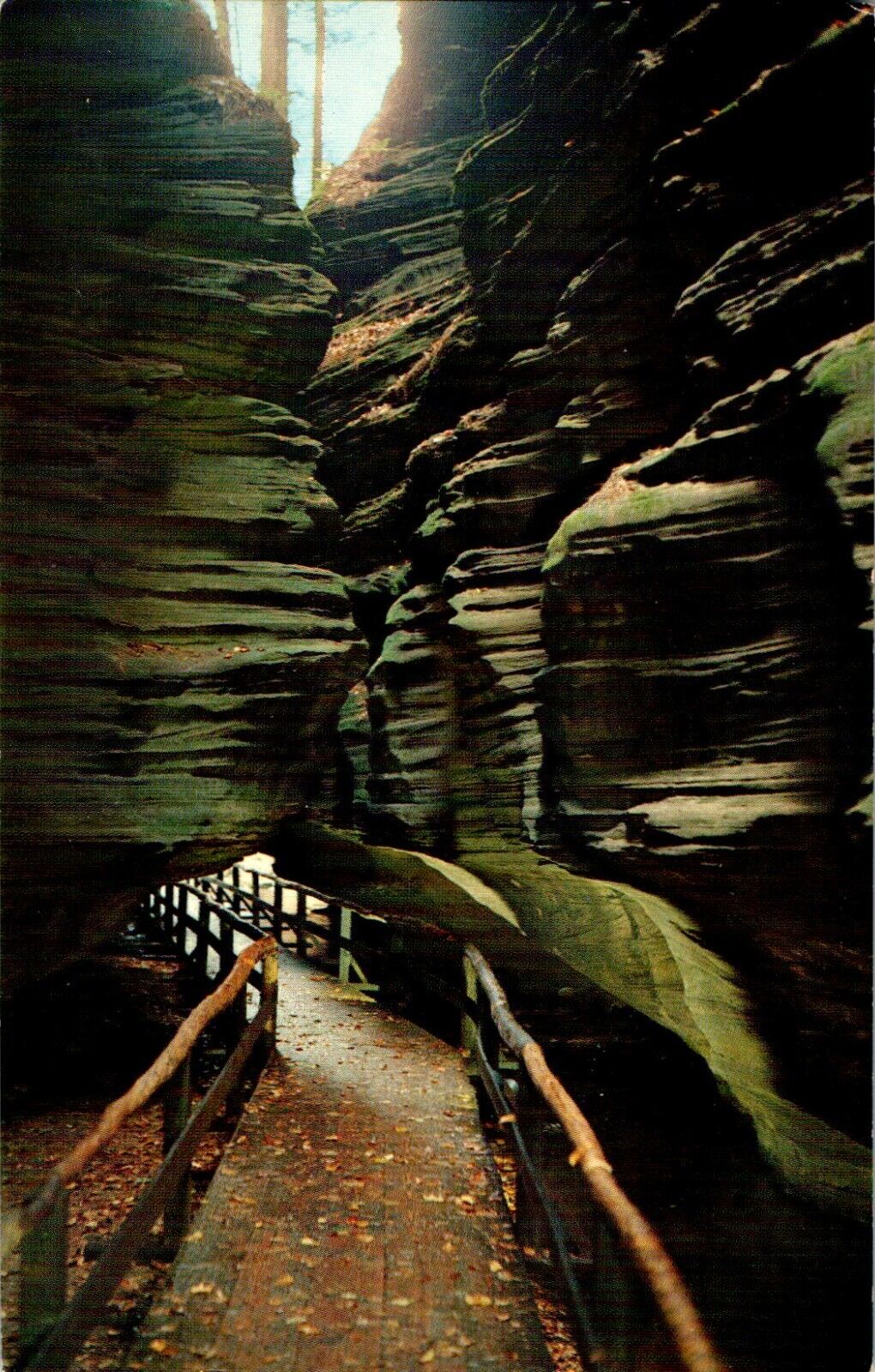 Spooky Lane, Witches Gulch, Wisconsin Dells, Wisconsin WI Postcard