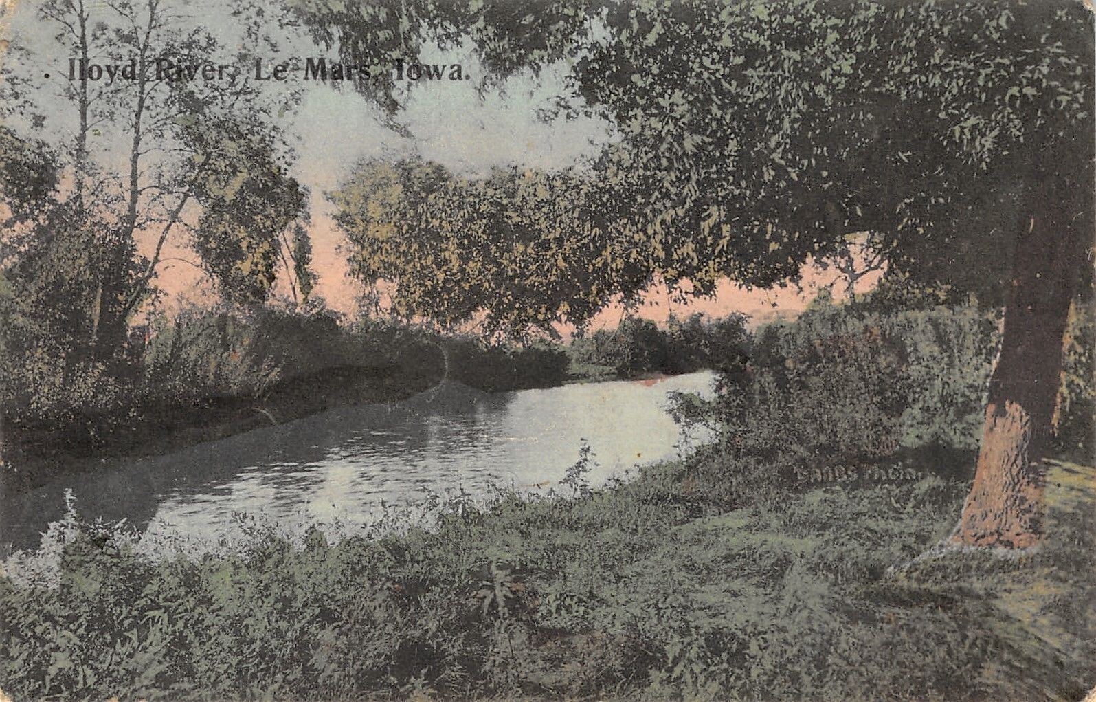 Le Mars Iowa~Trees Swallow Both Sides of the Floyd River c1910