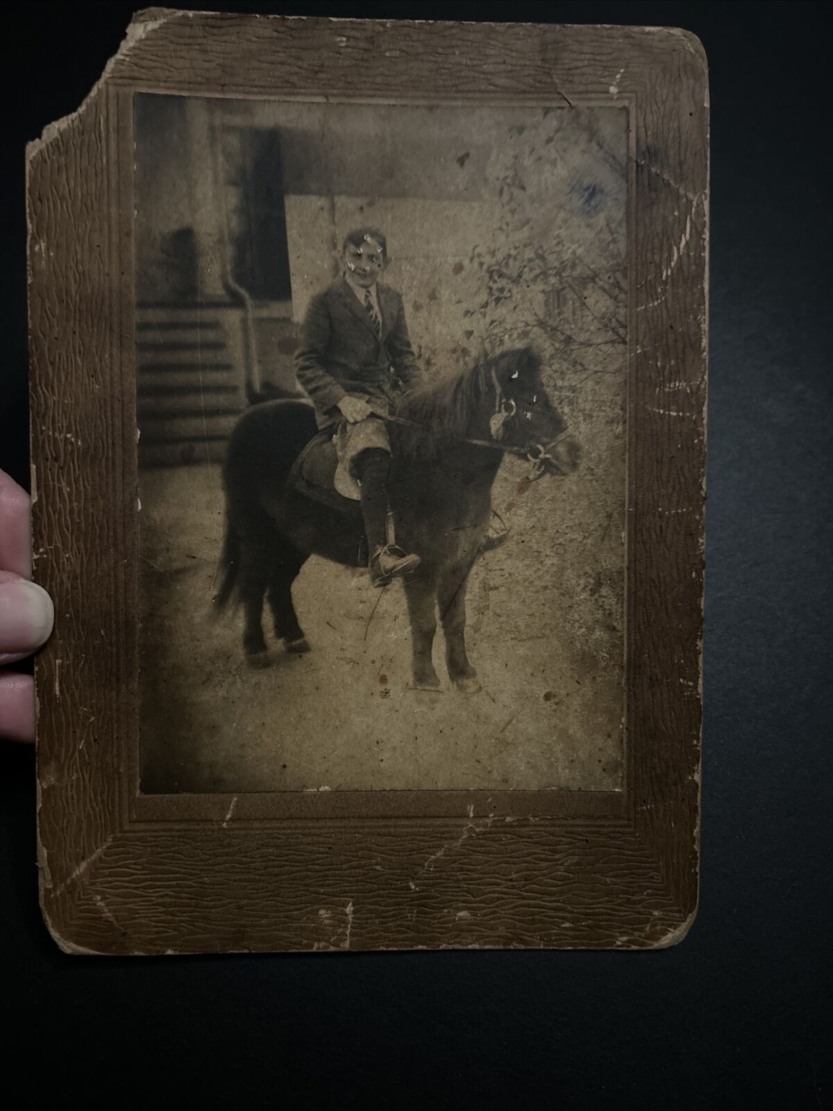 Antique 5x4 Cabinet Photograph Young Man with Horse Mounted 1900 Animal