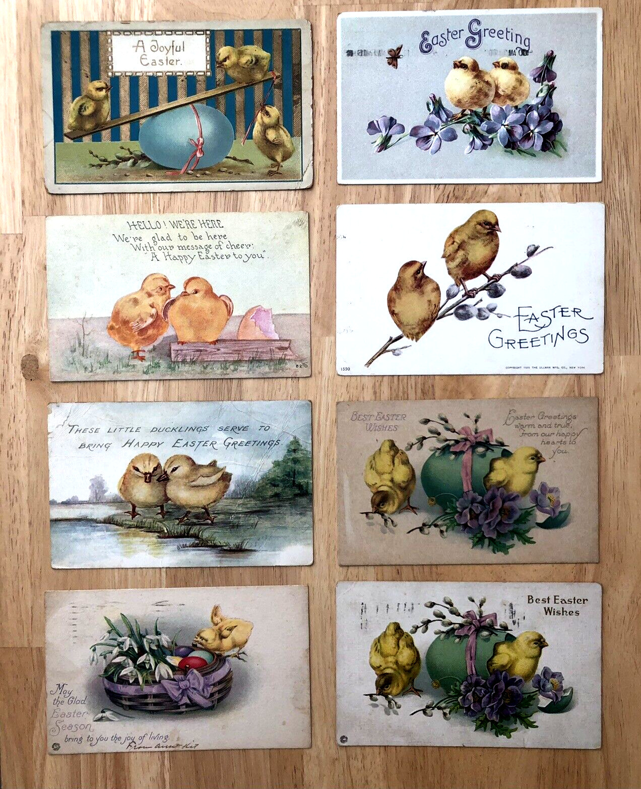 ANTIQUE EARLY 1900s LOT OF 8 EASTER CHICK POSTCARDS - 5 WITH 1 & 2 CENT STAMPS