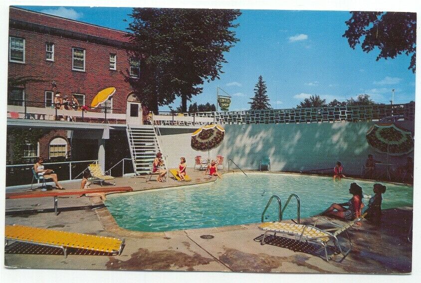 Little Falls MN Pine Edge Motor Inn Hotel Pool Postcard Minnesota