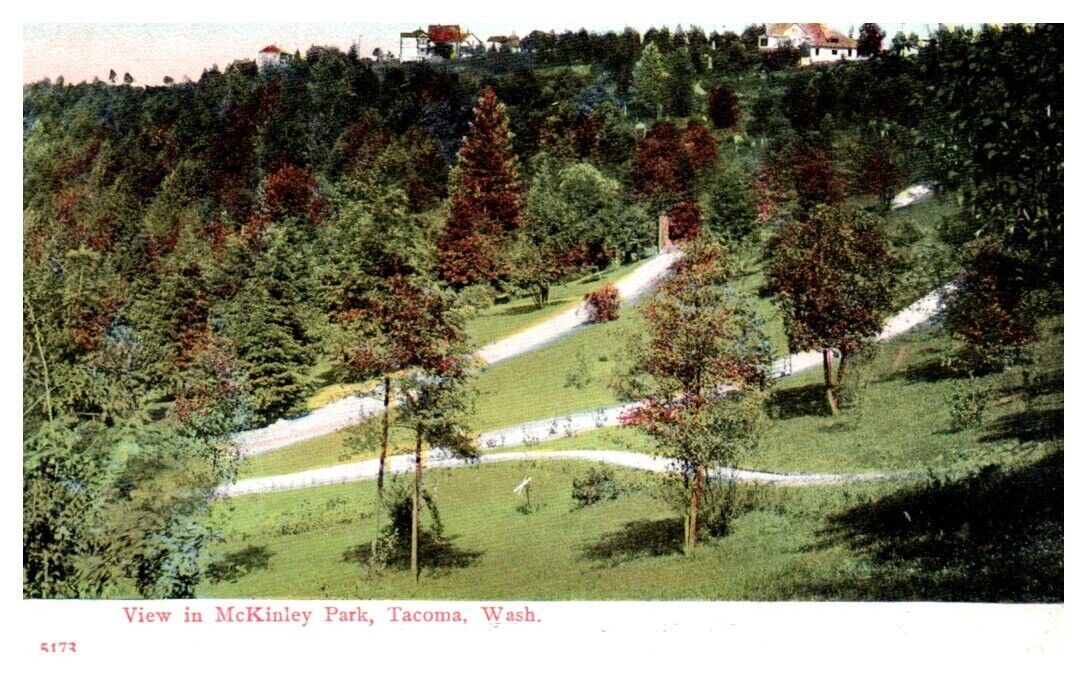 McKINLEY PARK Tacoma, WA - Postcard