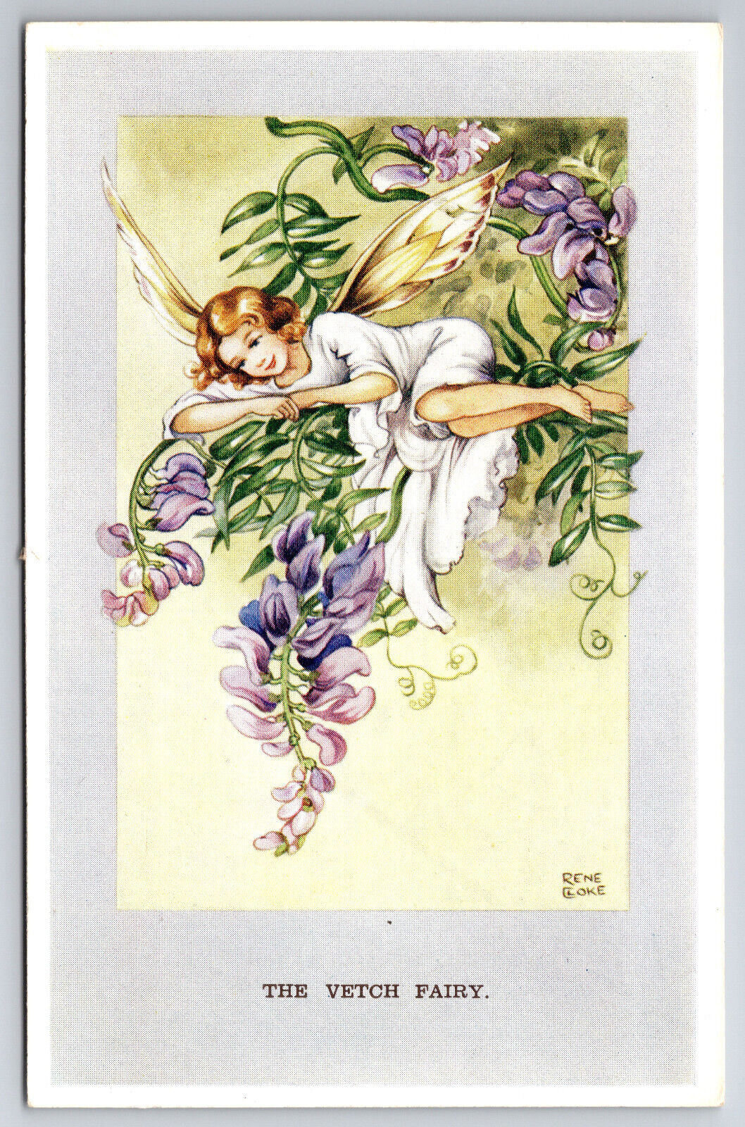 Postcard Signed Rene Cloke The Vetch Fairy