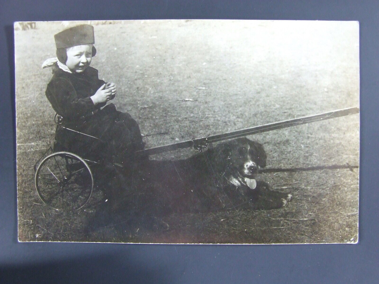 Child Wagon Hunting Dog Gordon Setter Real Photo Postcard 1911 RPPC Ashton Iowa
