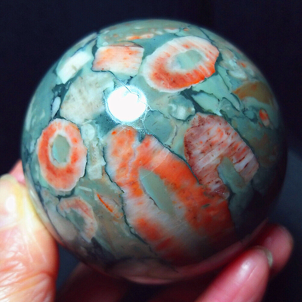 RARE 404.3G 65mm Natural Polished Shell Agate Crystal Sphere Ball Healing A2389