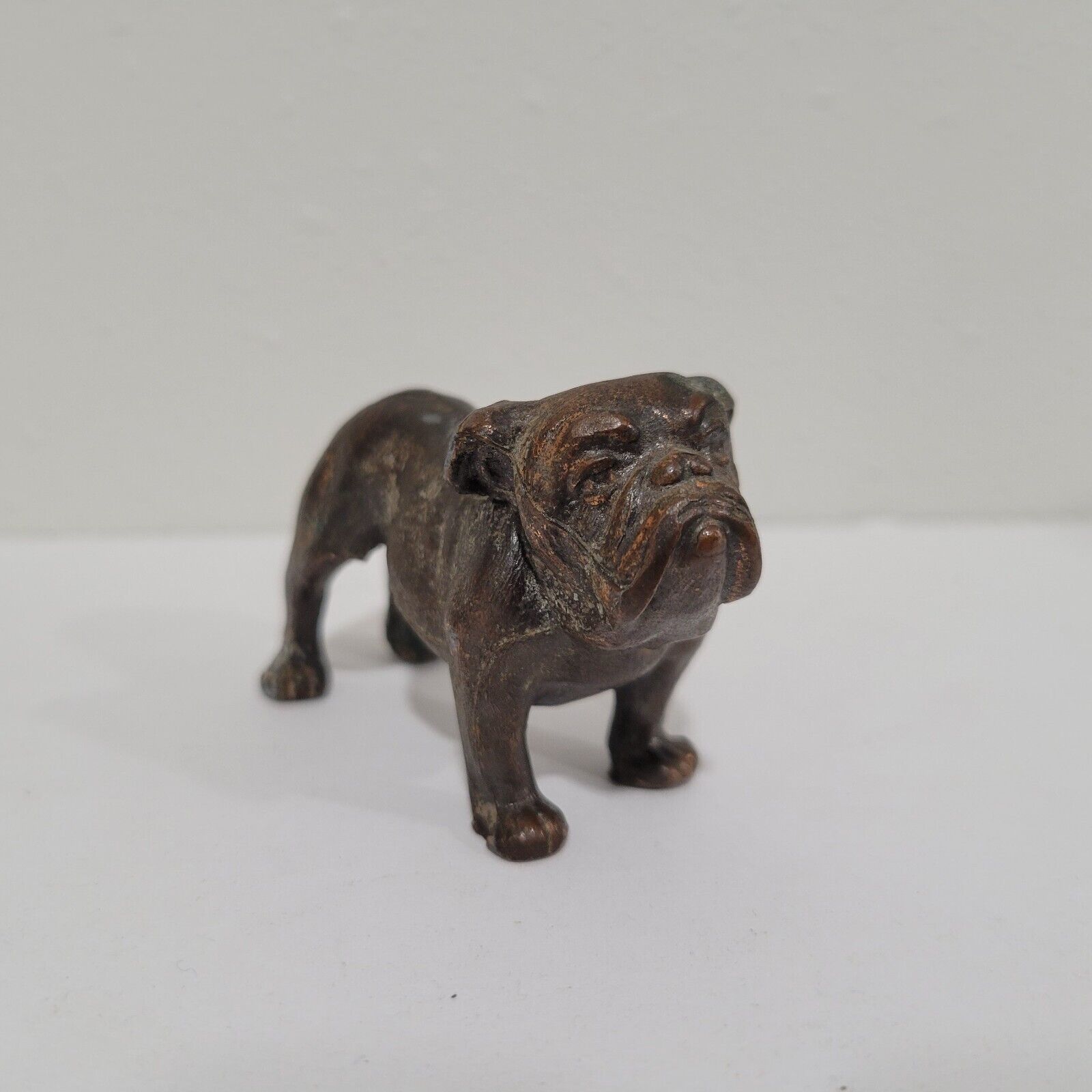 Vintage Cast Bronze English Bull Dog 3\