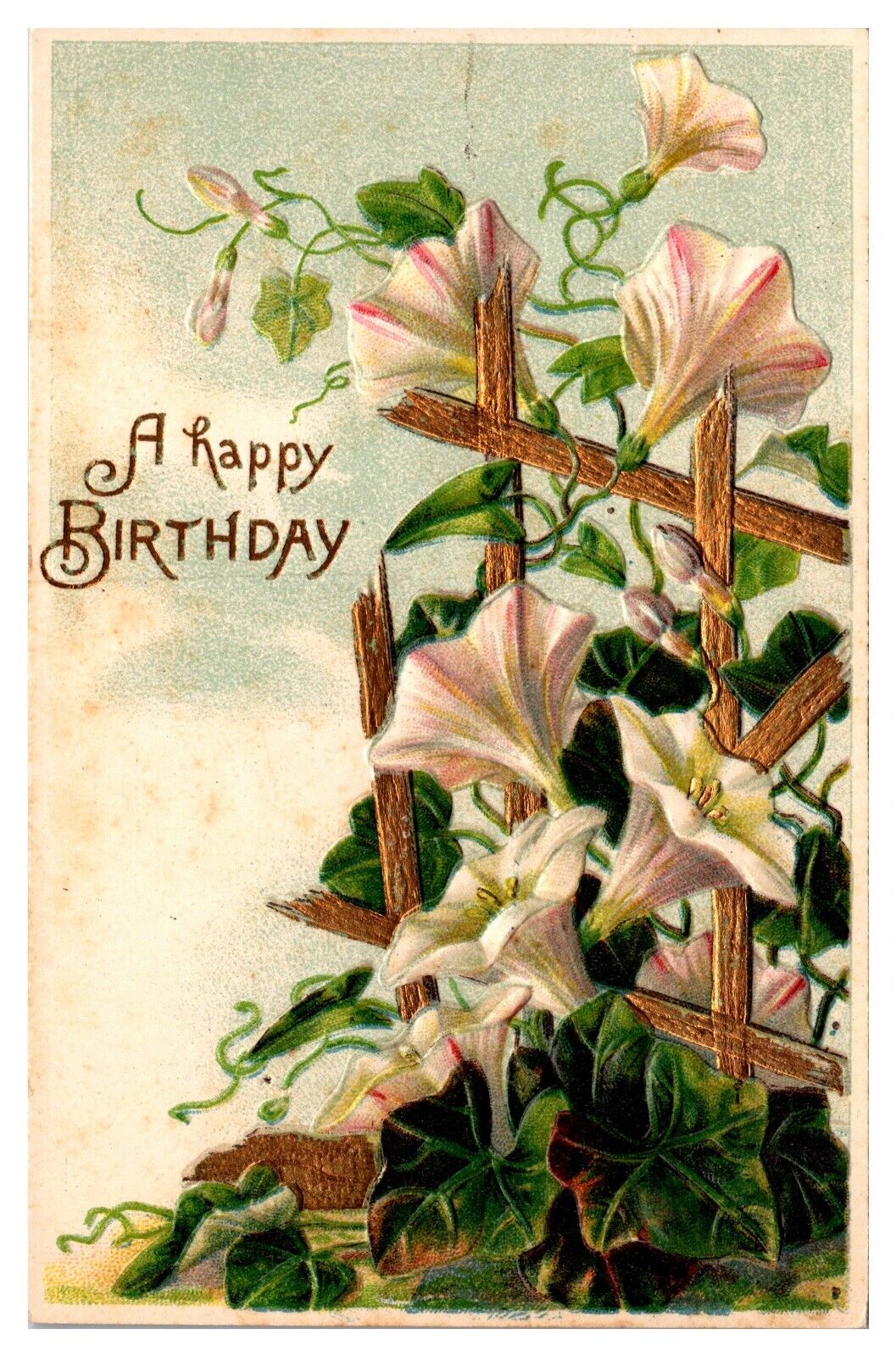1909 A Happy Birthday, Morning Glories, Embossed, Greetings Postcard