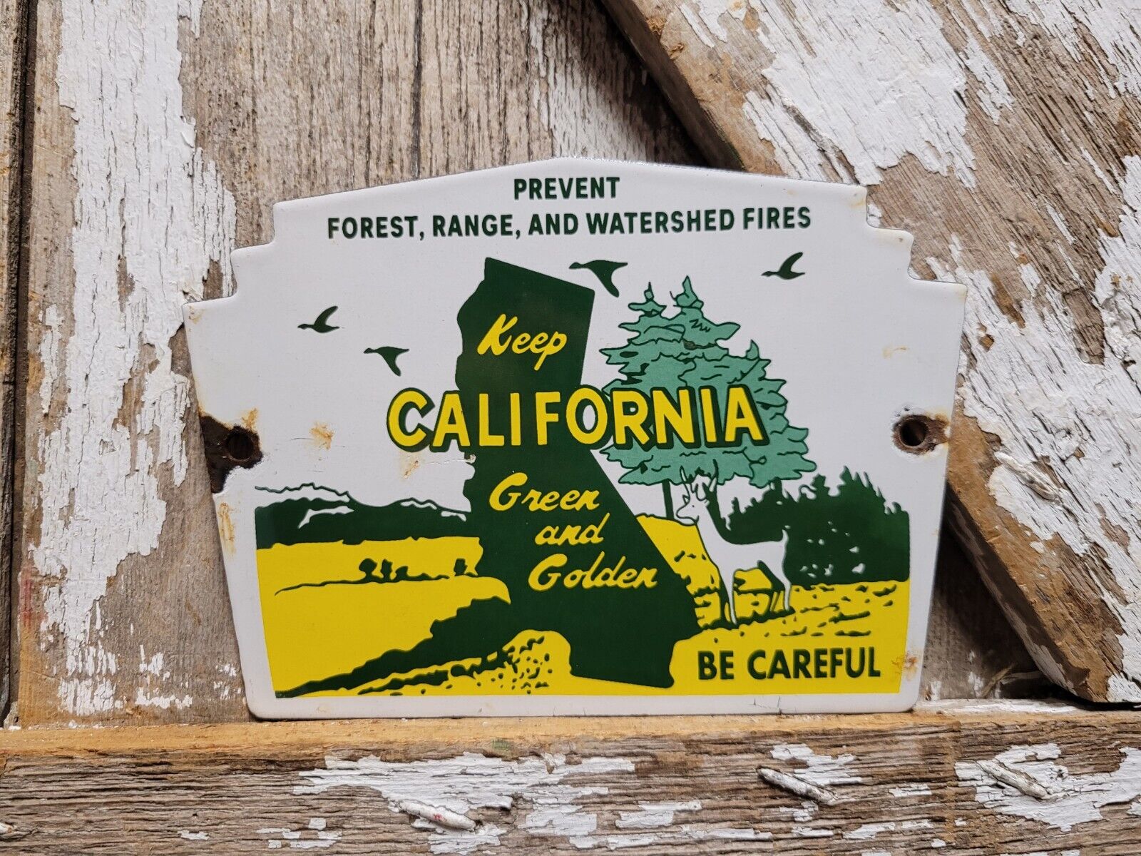 VINTAGE CALIFORNIA PORCELAIN SIGN FOREST SERVICE PREVENT CAMP RANGE PARK FIRES 