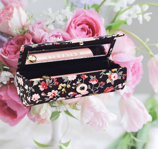 6pcs Lipstick Case Holder  Boxes w/ Mirror Assorted Color