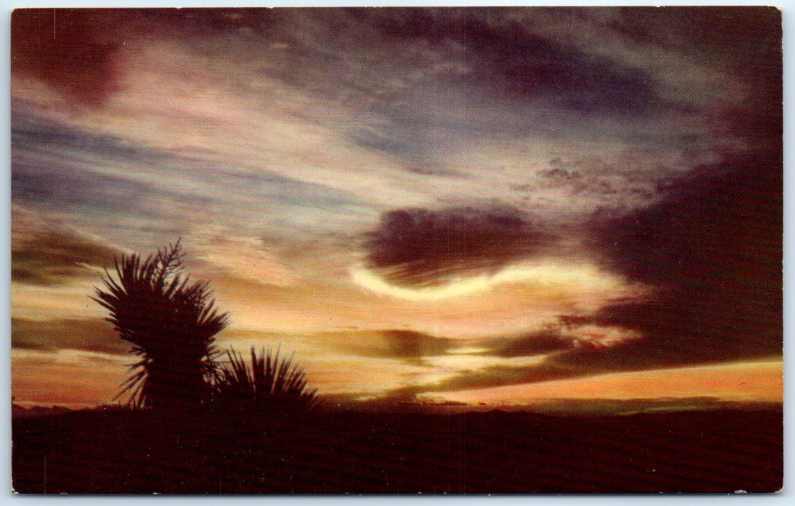 Postcard - Mojave Desert at Sunset, California, USA