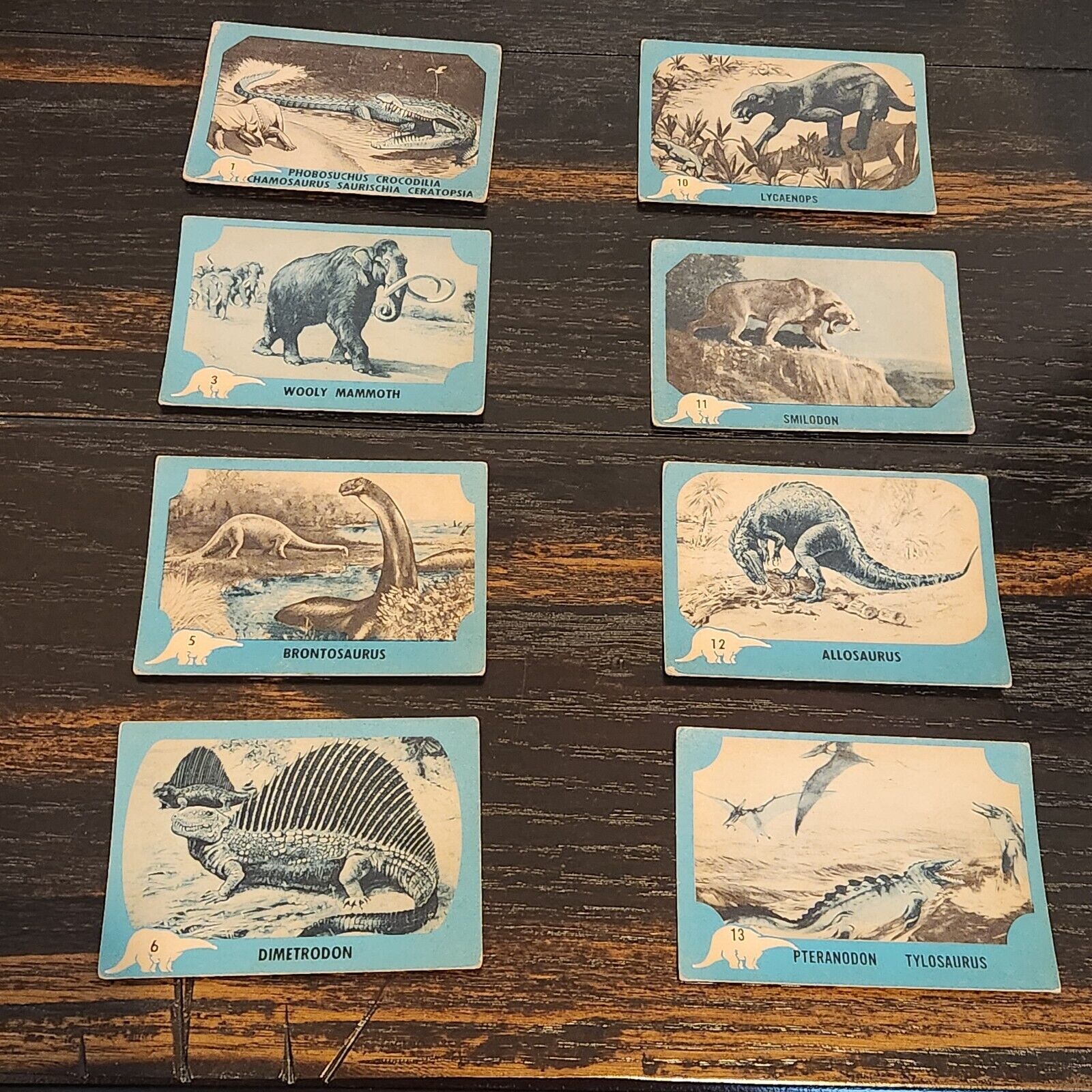 1961 Nu Card Dinosaur Lot 54 Cards Only 1 Duplicate