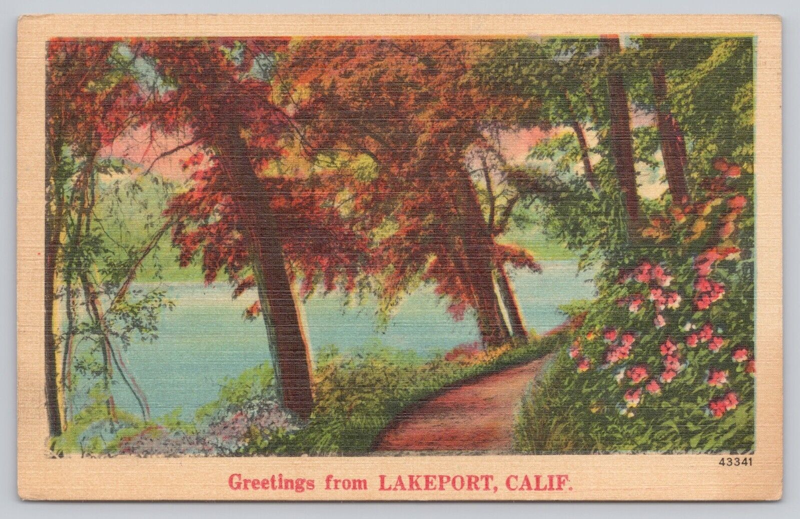 Lakeport California, Lakeside Scenic View, Vintage Postcard